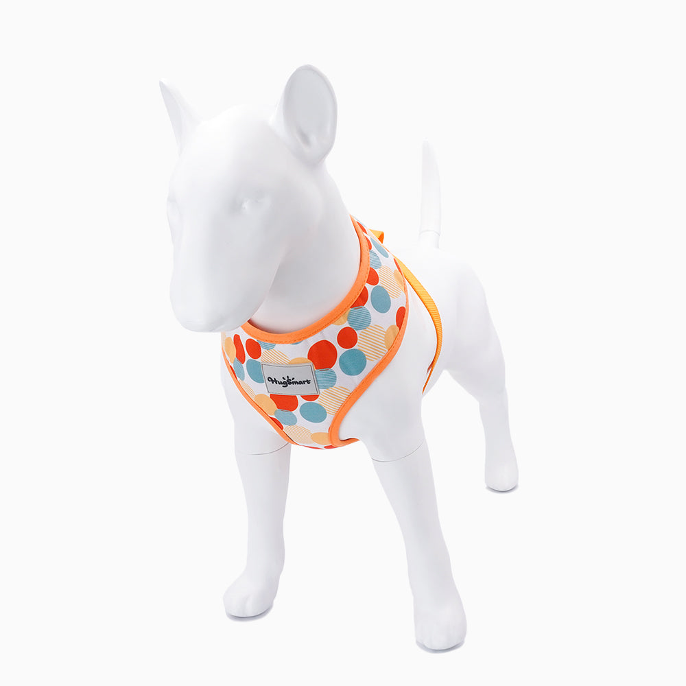 Toy size hotsell dog harness